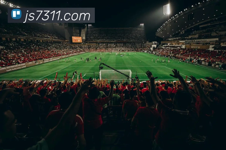 金沙娱乐官方网站服务体系